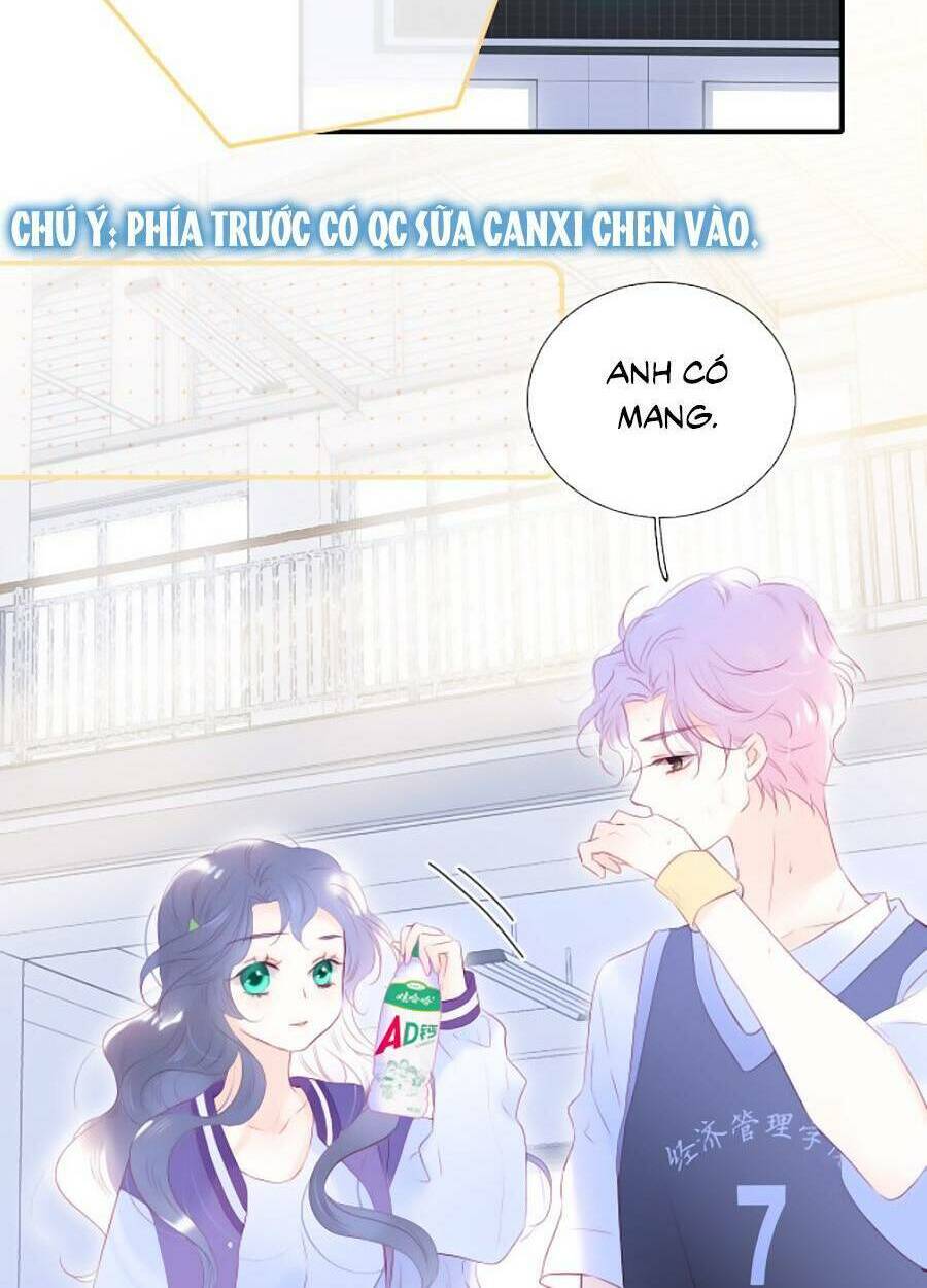 Hoa Bỏ Chạy Với Nhím Rồi: Chapter 64