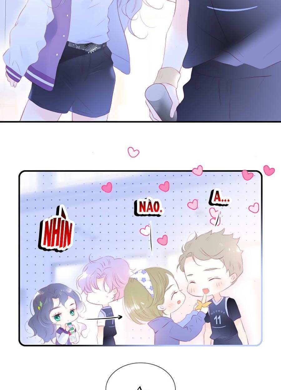 Hoa Bỏ Chạy Với Nhím Rồi: Chapter 64
