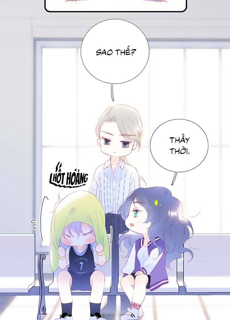Hoa Bỏ Chạy Với Nhím Rồi: Chapter 64