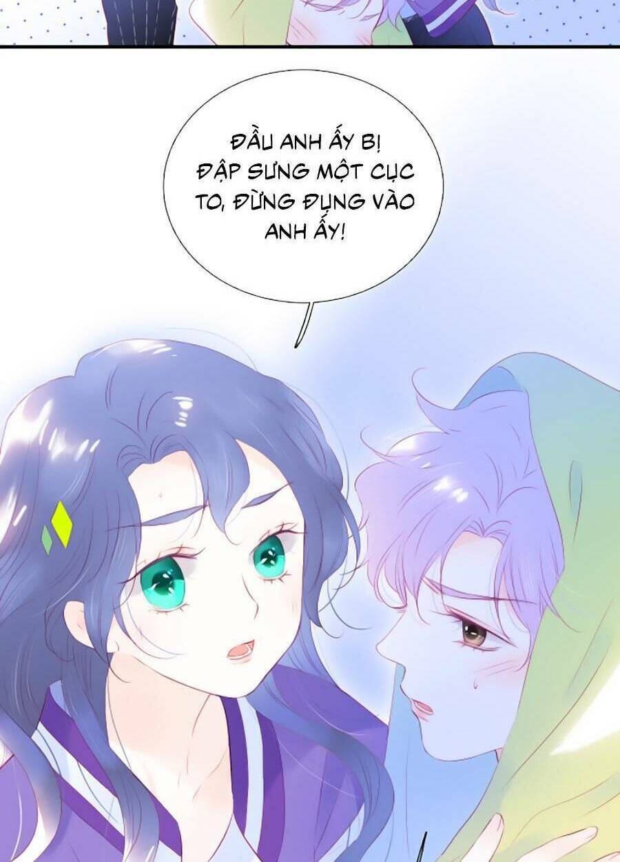 Hoa Bỏ Chạy Với Nhím Rồi: Chapter 64