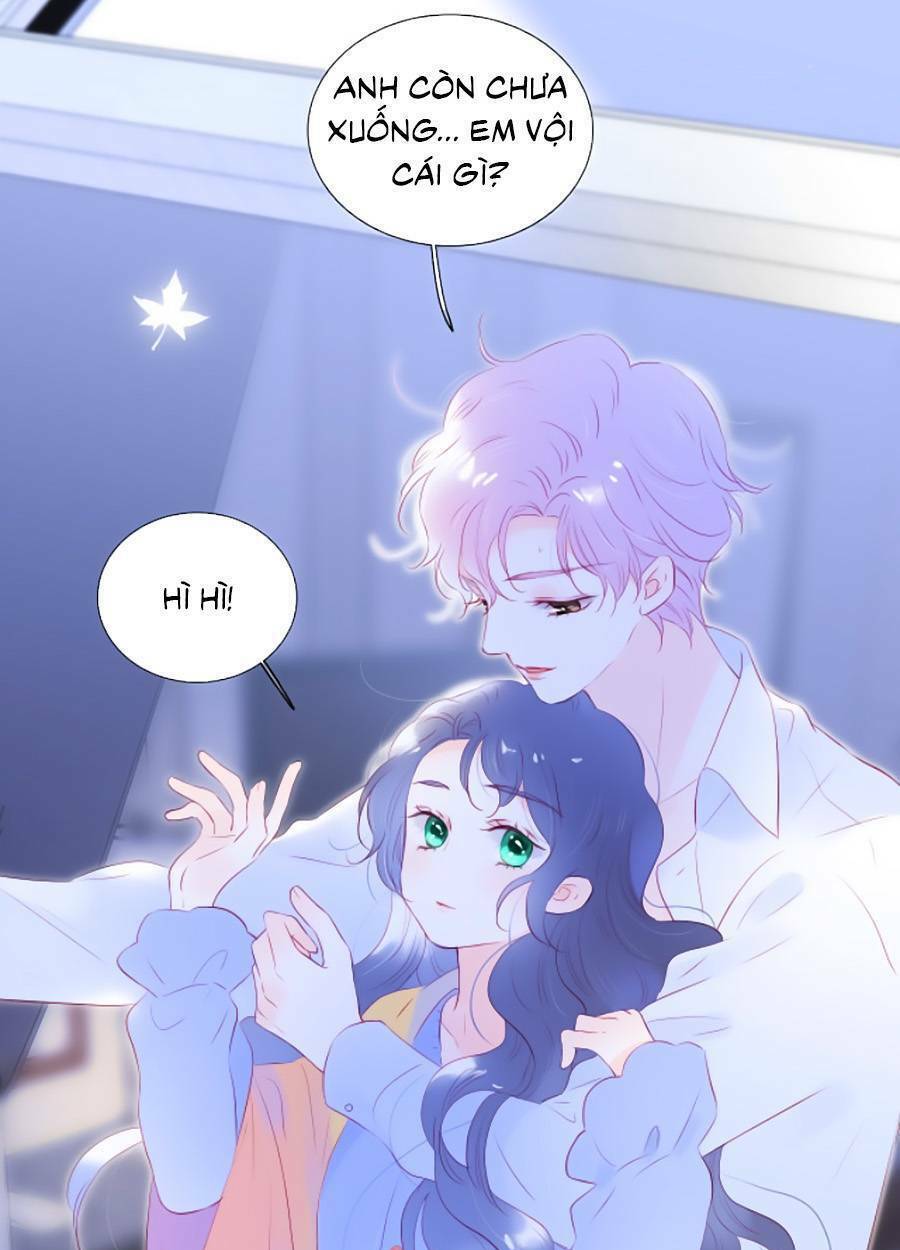 Hoa Bỏ Chạy Với Nhím Rồi: Chapter 70