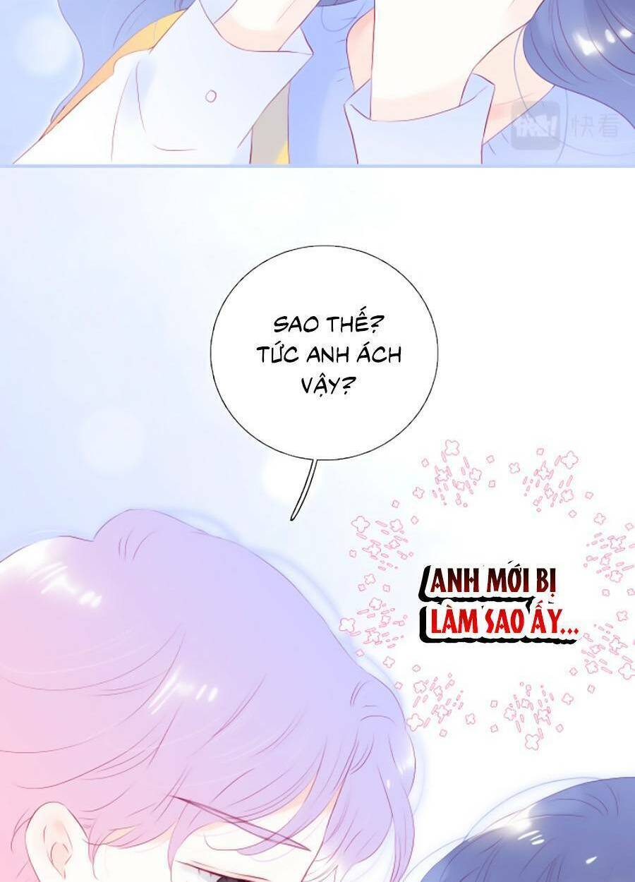 Hoa Bỏ Chạy Với Nhím Rồi: Chapter 70