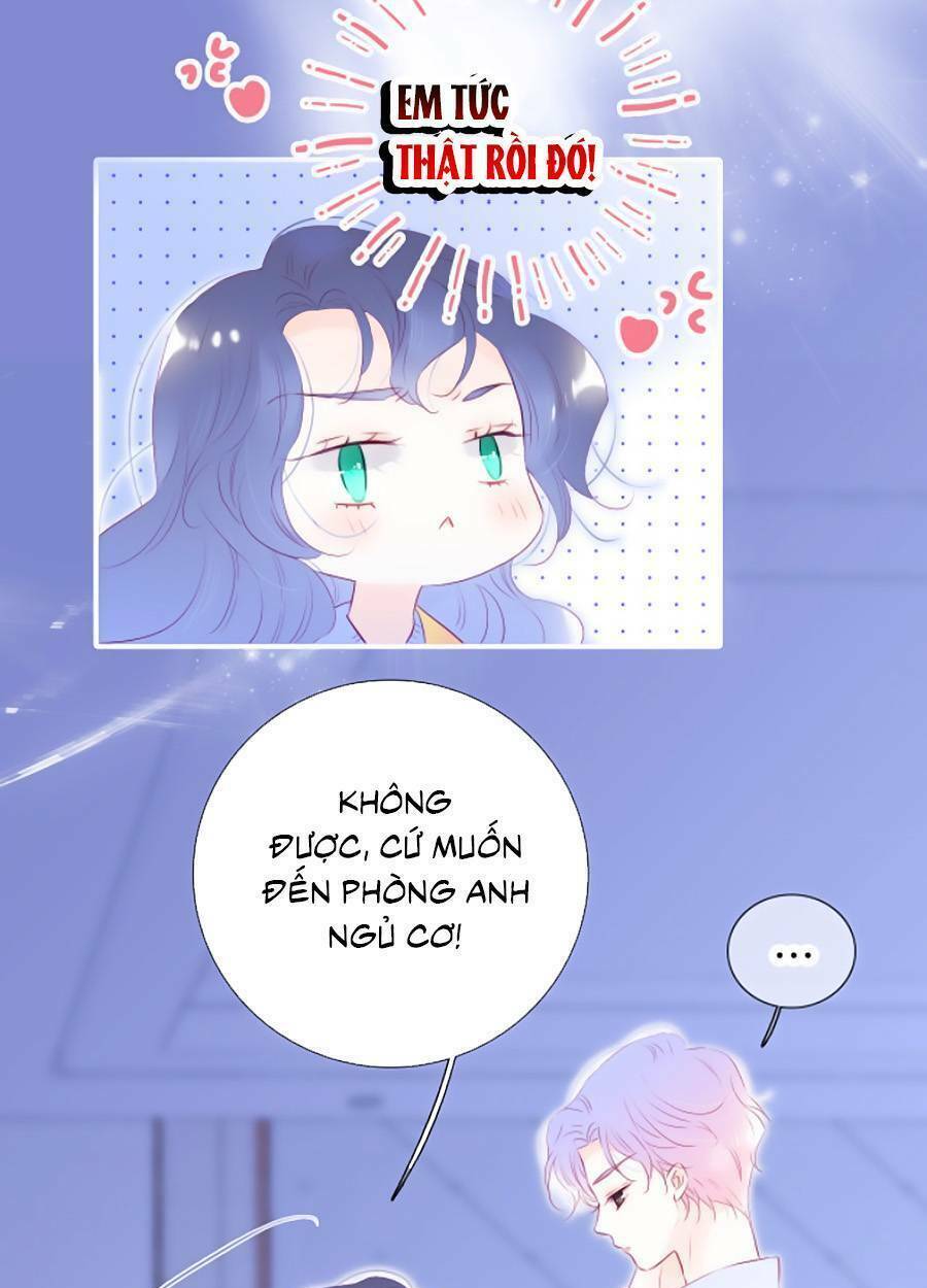 Hoa Bỏ Chạy Với Nhím Rồi: Chapter 70