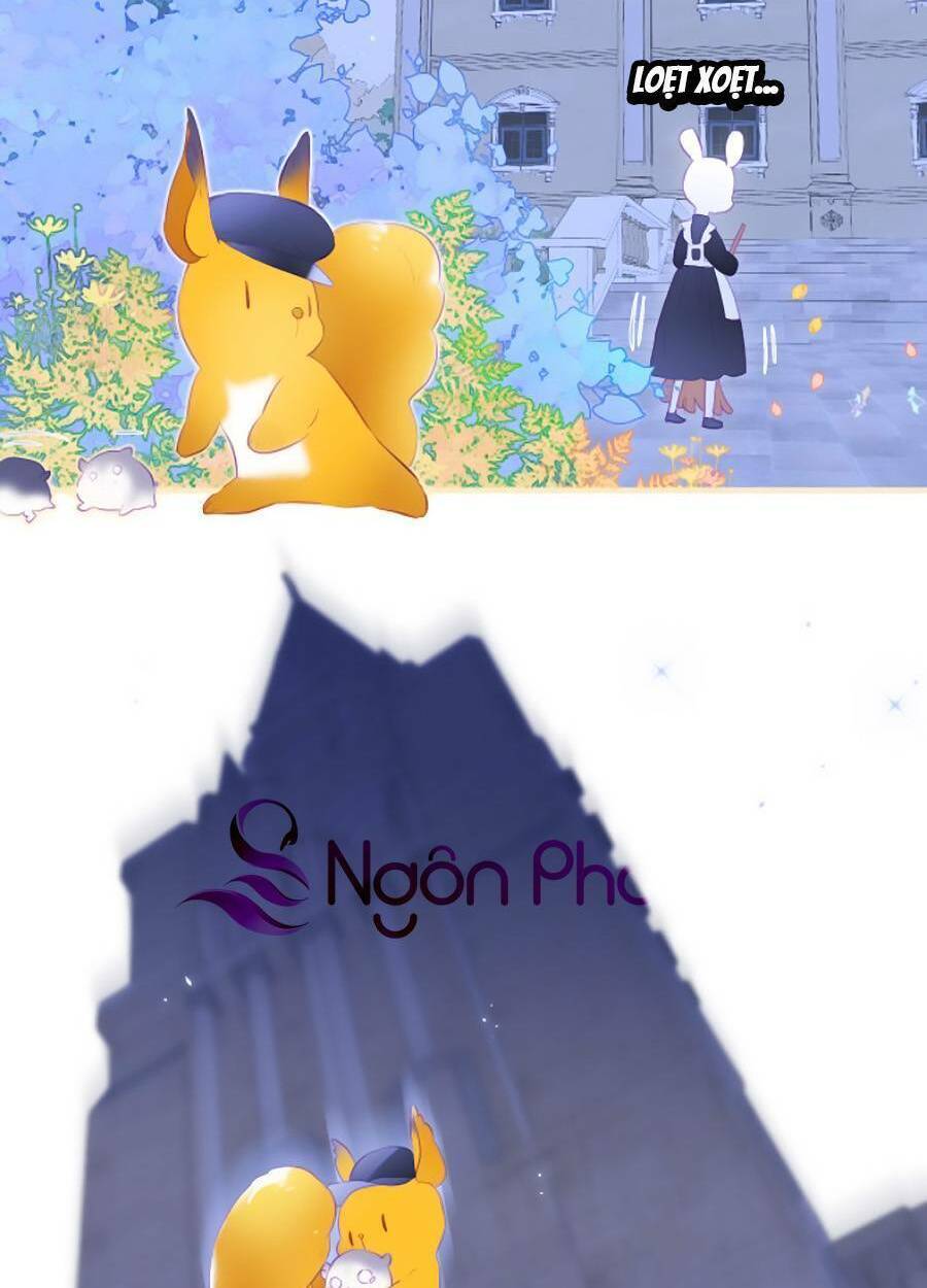 Hoa Bỏ Chạy Với Nhím Rồi: Chapter 74.5