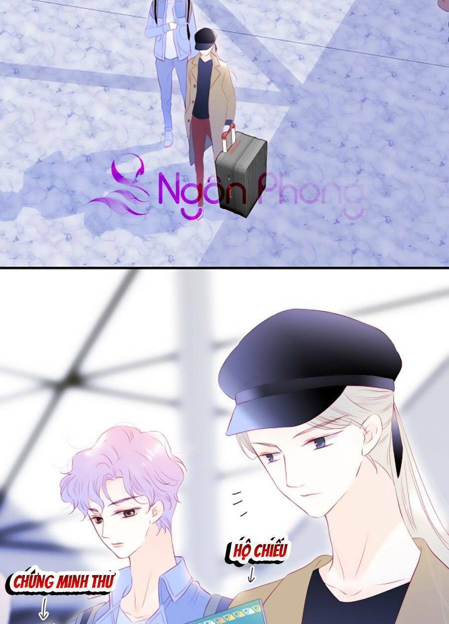 Hoa Bỏ Chạy Với Nhím Rồi: Chapter 74