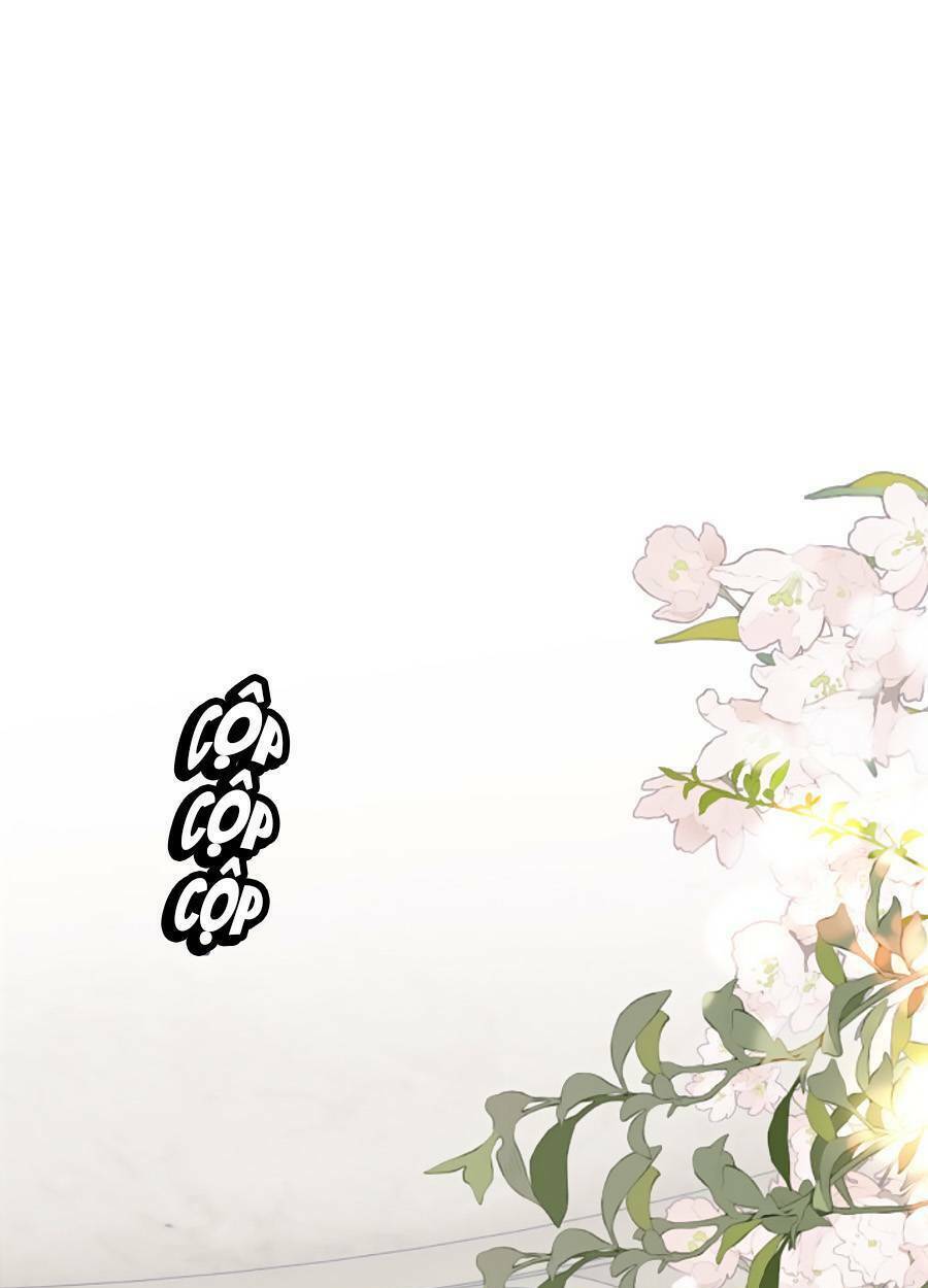 Hoa Bỏ Chạy Với Nhím Rồi: Chapter 79