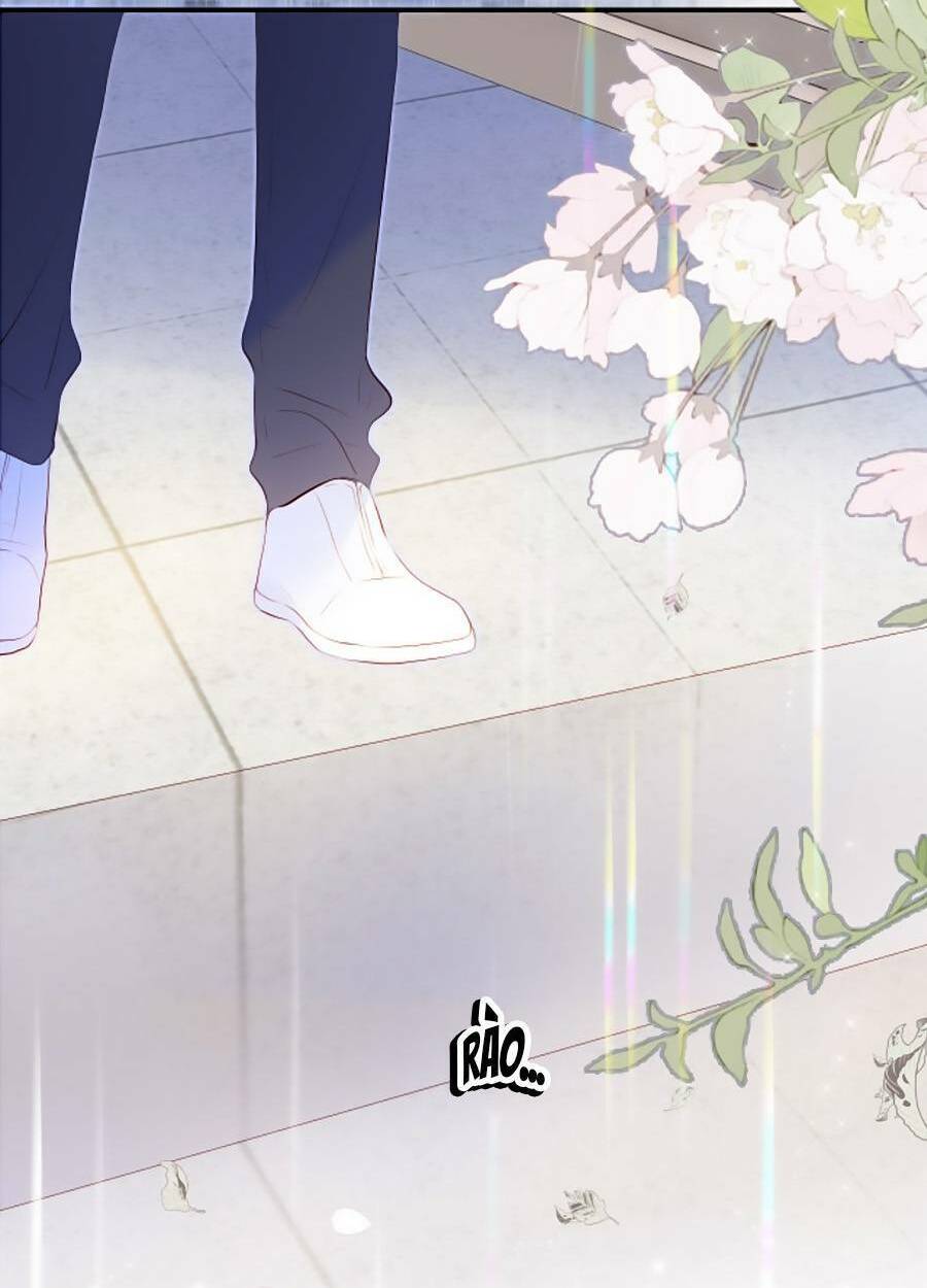 Hoa Bỏ Chạy Với Nhím Rồi: Chapter 79