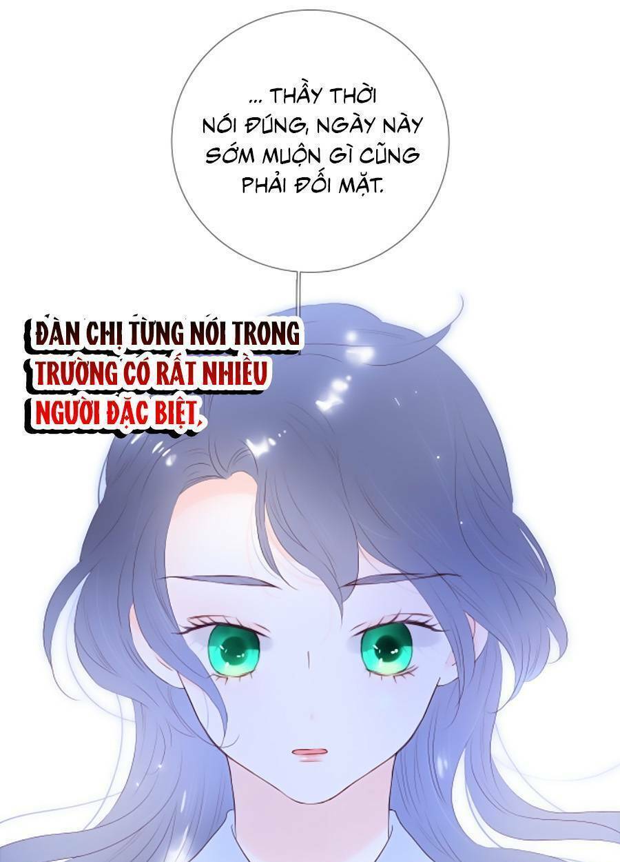 Hoa Bỏ Chạy Với Nhím Rồi: Chapter 81