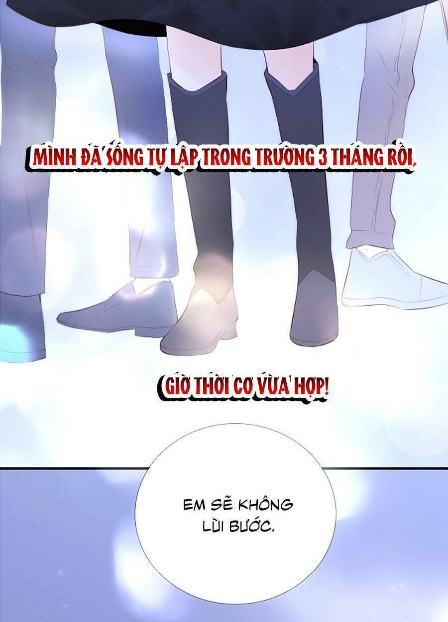 Hoa Bỏ Chạy Với Nhím Rồi: Chapter 81