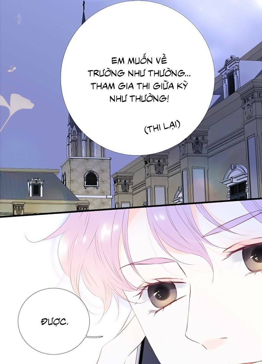 Hoa Bỏ Chạy Với Nhím Rồi: Chapter 81