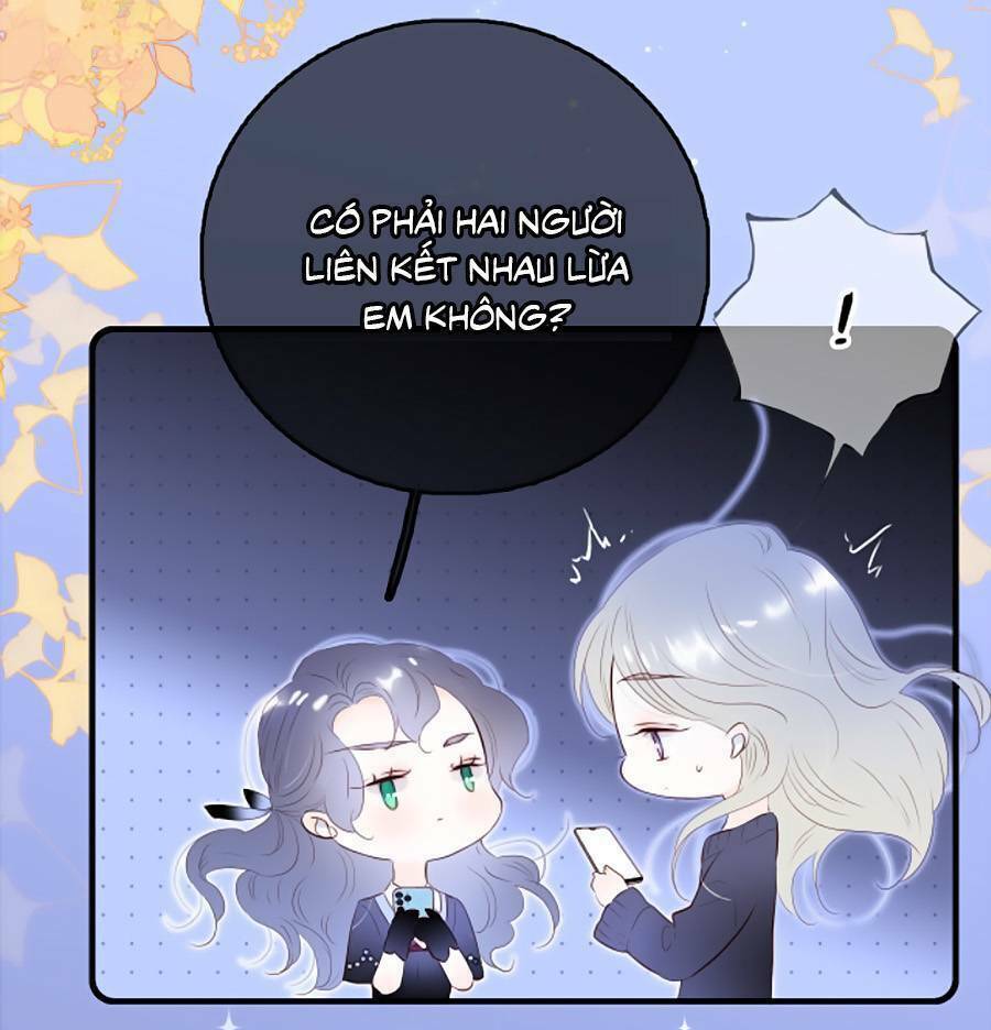 Hoa Bỏ Chạy Với Nhím Rồi: Chapter 81