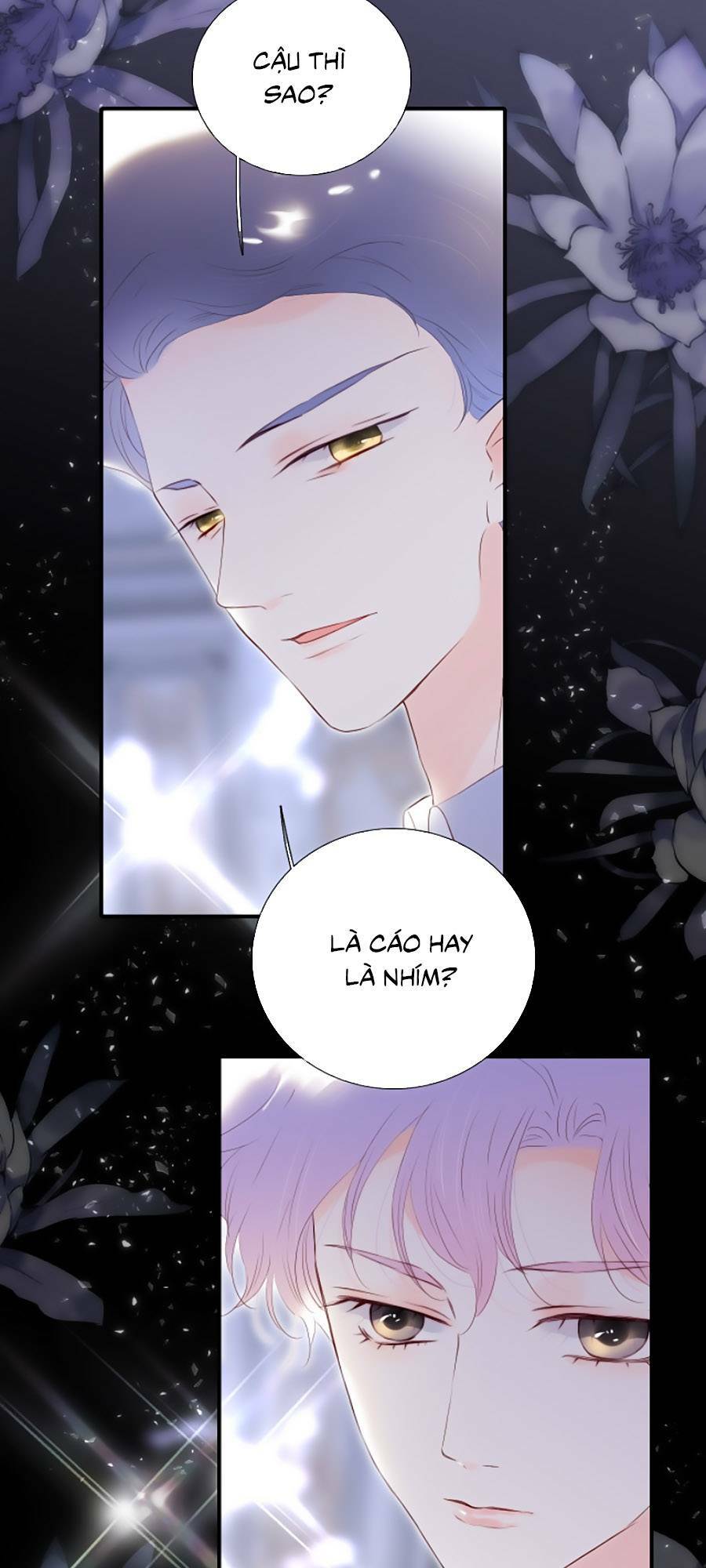 Hoa Bỏ Chạy Với Nhím Rồi: Chapter 82