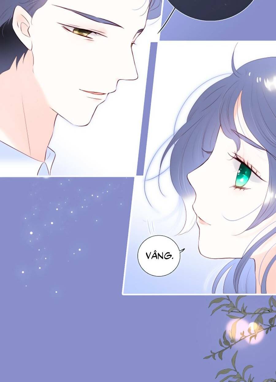 Hoa Bỏ Chạy Với Nhím Rồi: Chapter 84