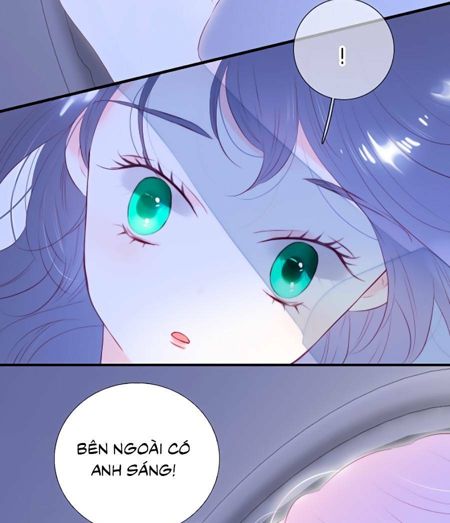 Hoa Bỏ Chạy Với Nhím Rồi: Chapter 85