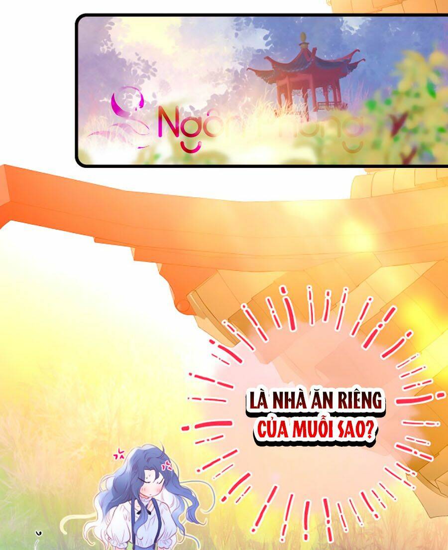 Hoa Bỏ Chạy Với Nhím Rồi: Chapter 9