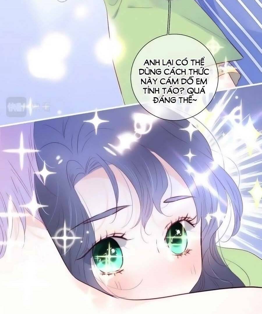 Hoa Bỏ Chạy Với Nhím Rồi: Chapter 95.5