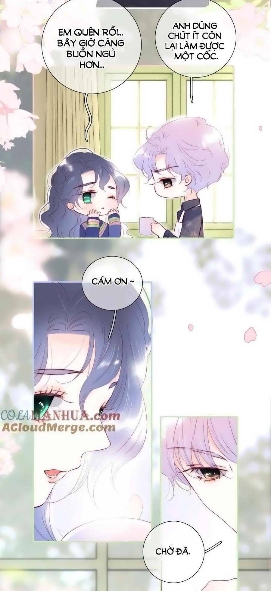 Hoa Bỏ Chạy Với Nhím Rồi: Chapter 95.5