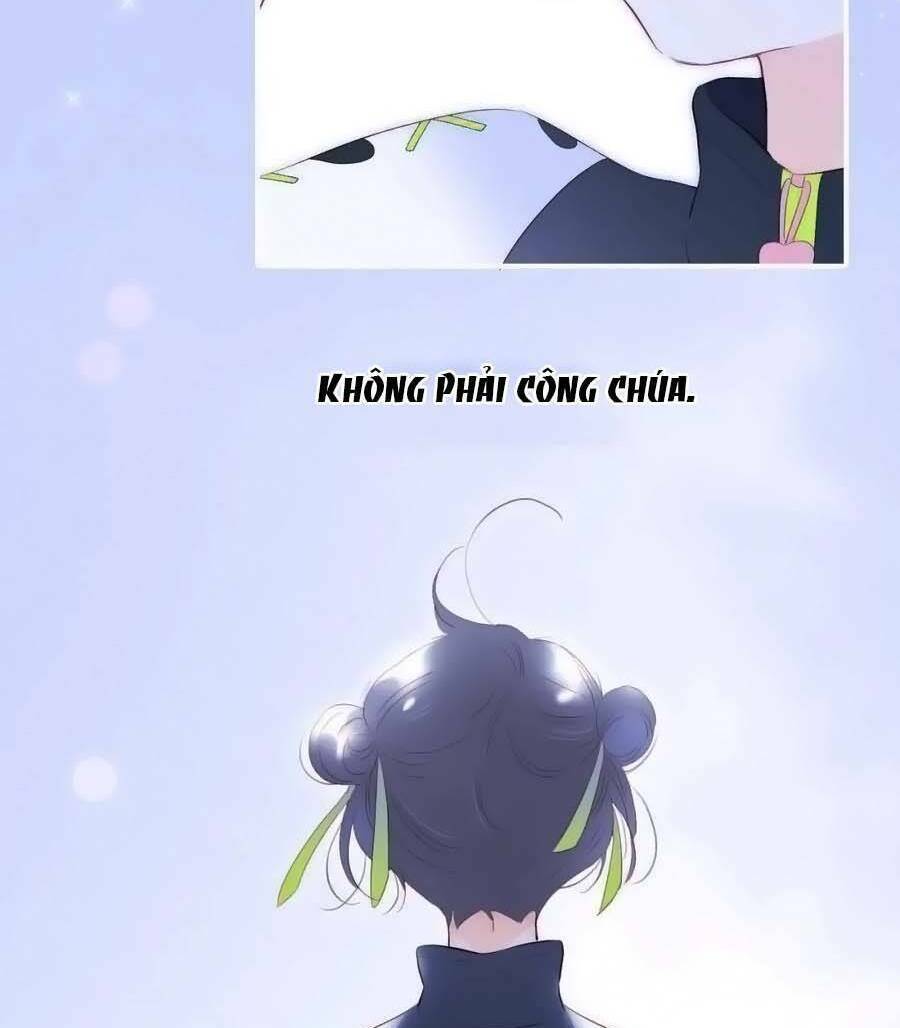 Hoa Bỏ Chạy Với Nhím Rồi: Chapter 97