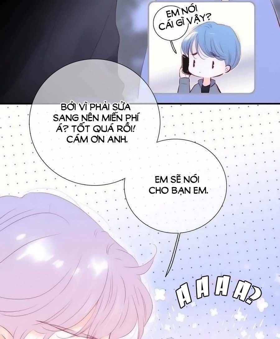 Hoa Bỏ Chạy Với Nhím Rồi: Chapter 98