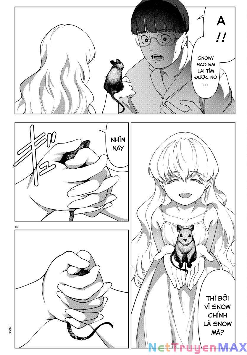 Darwins Game: Chapter 117