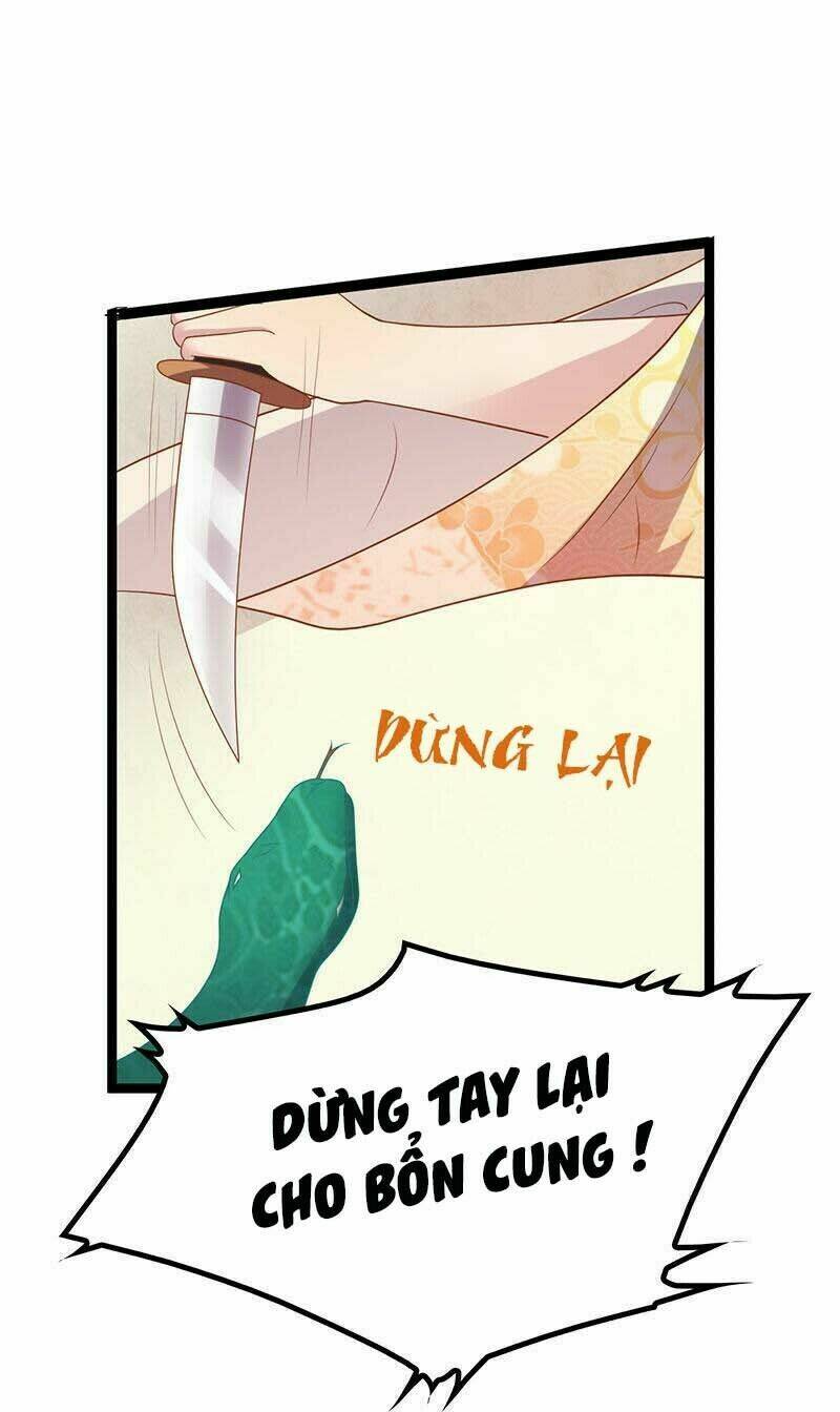 Khuynh thế đế vương cơ: Chapter 8.2