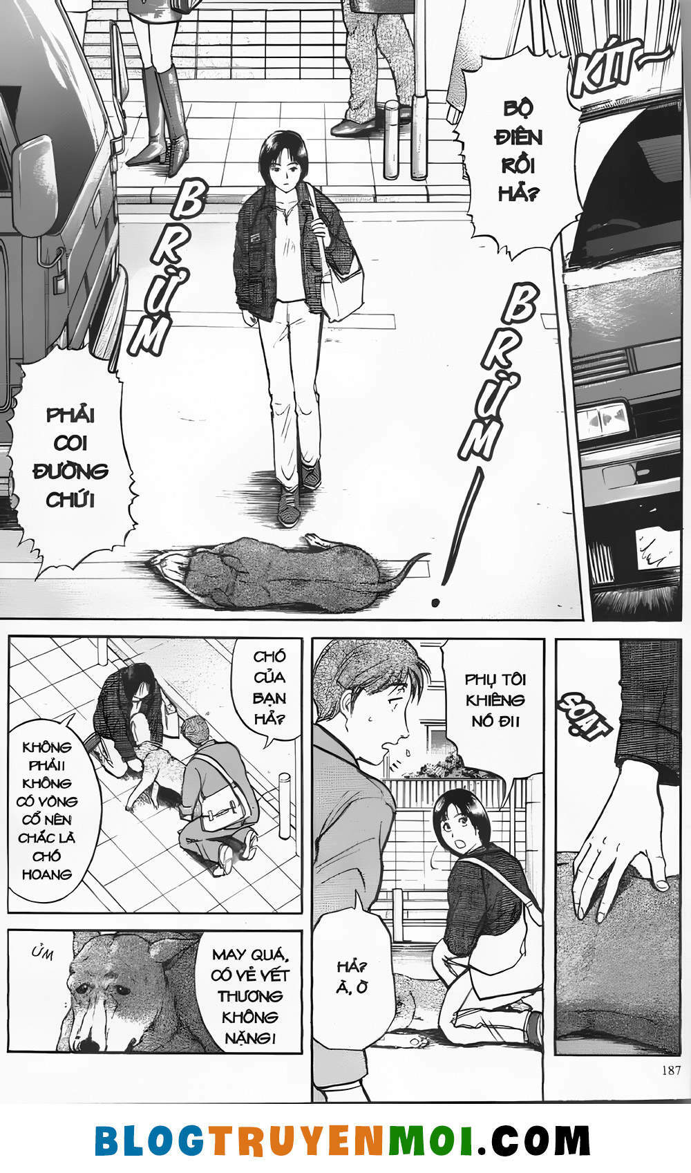 Thám Tử Kindaichi (Bản đẹp): Chapter 20.8: Án mạng trong rừng ma khuyển - Màn 8