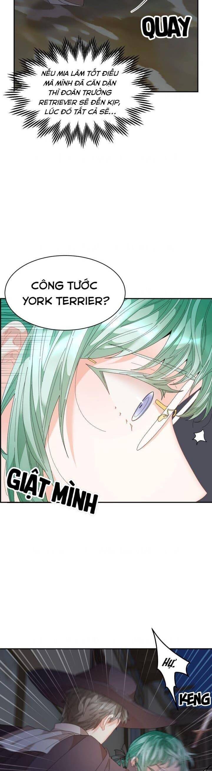 Tôi Không Muốn Trở Thành Hoàng Hậu: Chapter 90