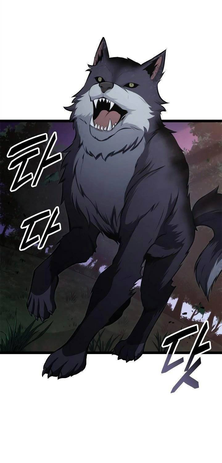 Nhà Vô Địch Kalli: Chapter 64