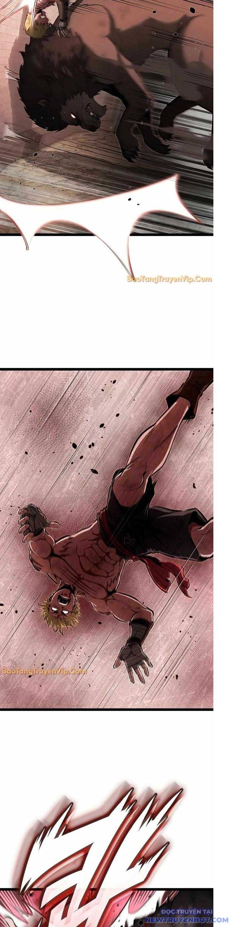 Nhà Vô Địch Kalli: Chapter 101