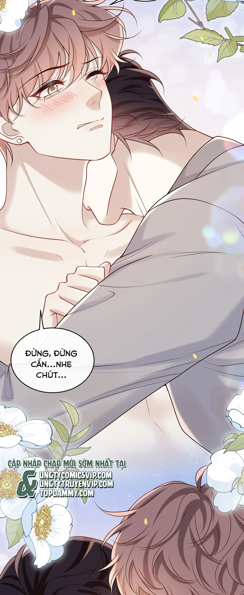 Anh Ấy Đến Từ Màn Đêm: Chapter 44