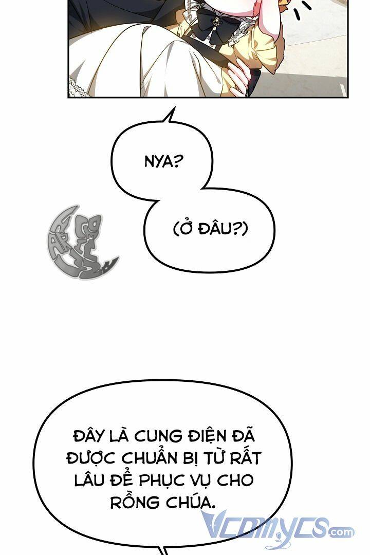 Rồng Con Thuần Hóa Những Kẻ Điên Rồ: Chapter 15