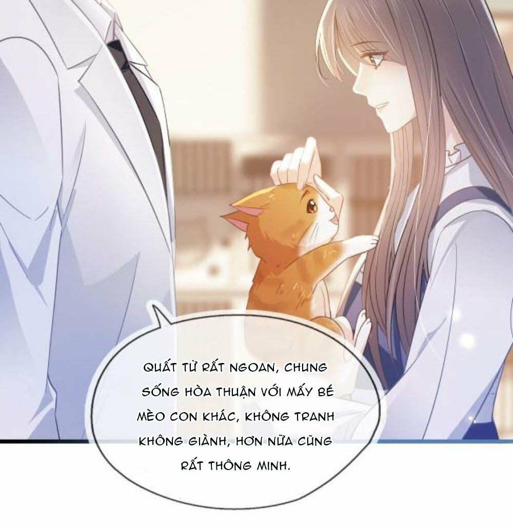 Cô Ấy Và Bông Hồng Trắng: Chapter 11