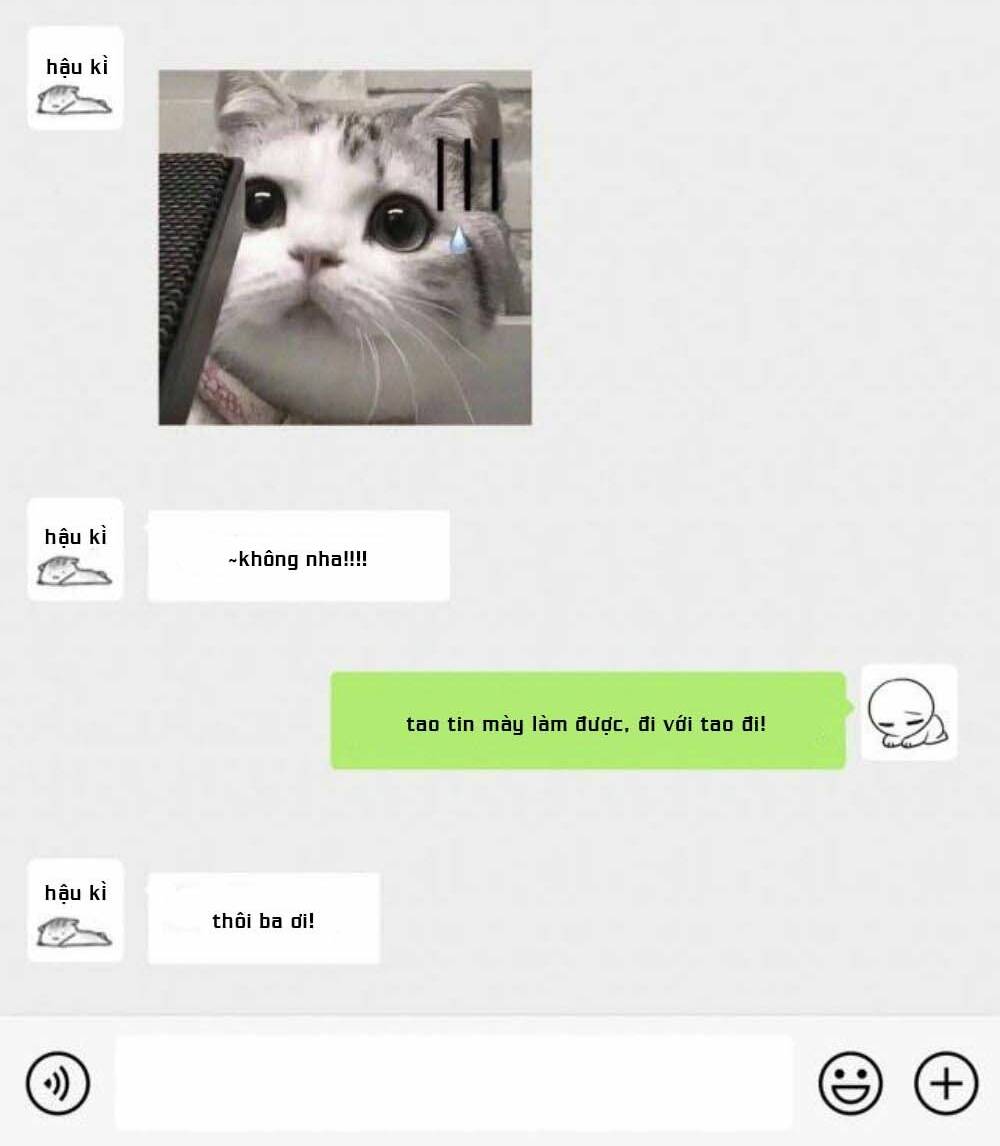 Cô Ấy Và Bông Hồng Trắng: Chapter 12
