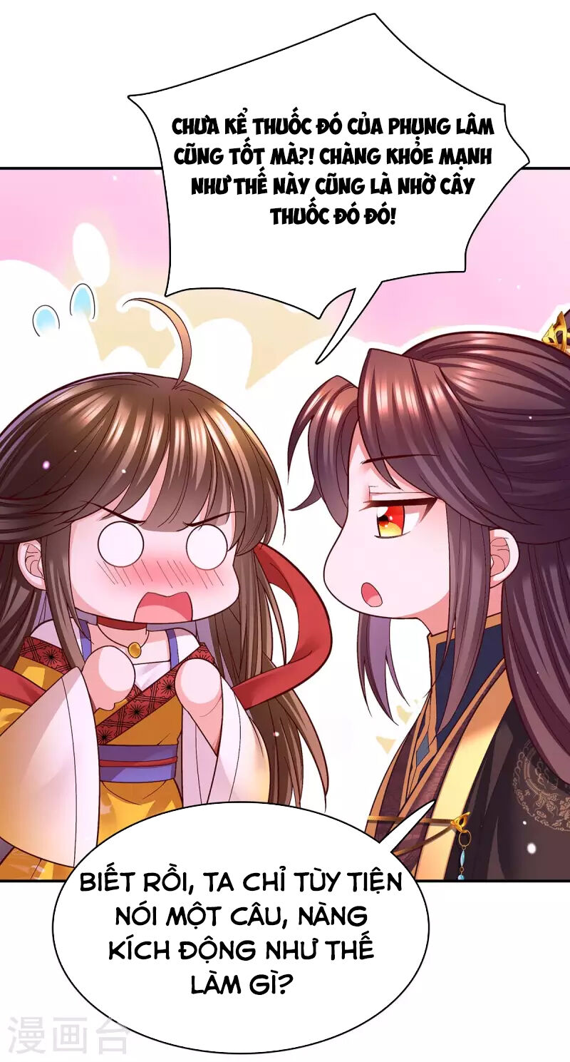 Ta Ở Hậu Cung Làm Lão Đại: Chapter 117