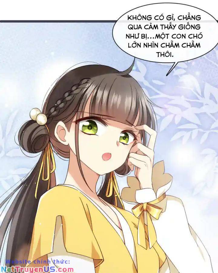 Nụ Cười Của Nàng Liền Ngọt Đảo Ta Tám Viên Nha: Chapter 96