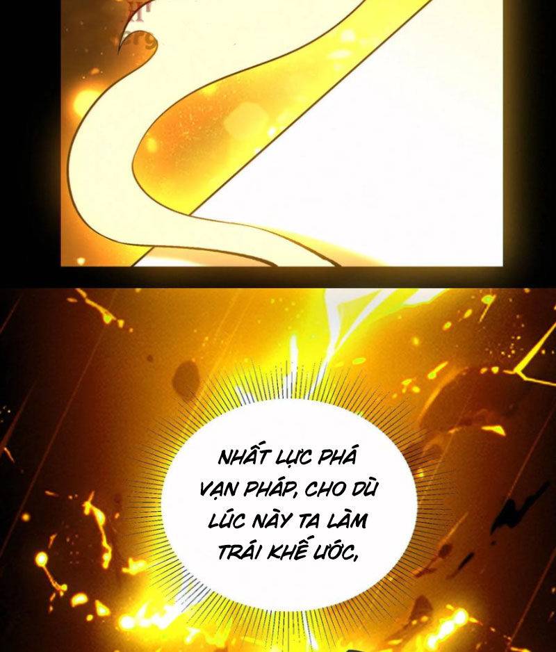 Cướp Đoạt Vô Số Thiên Phú, Ta Trở Thành Thần Ở Thời Đại Toàn Dân Chuyển Chức: Chapter 91