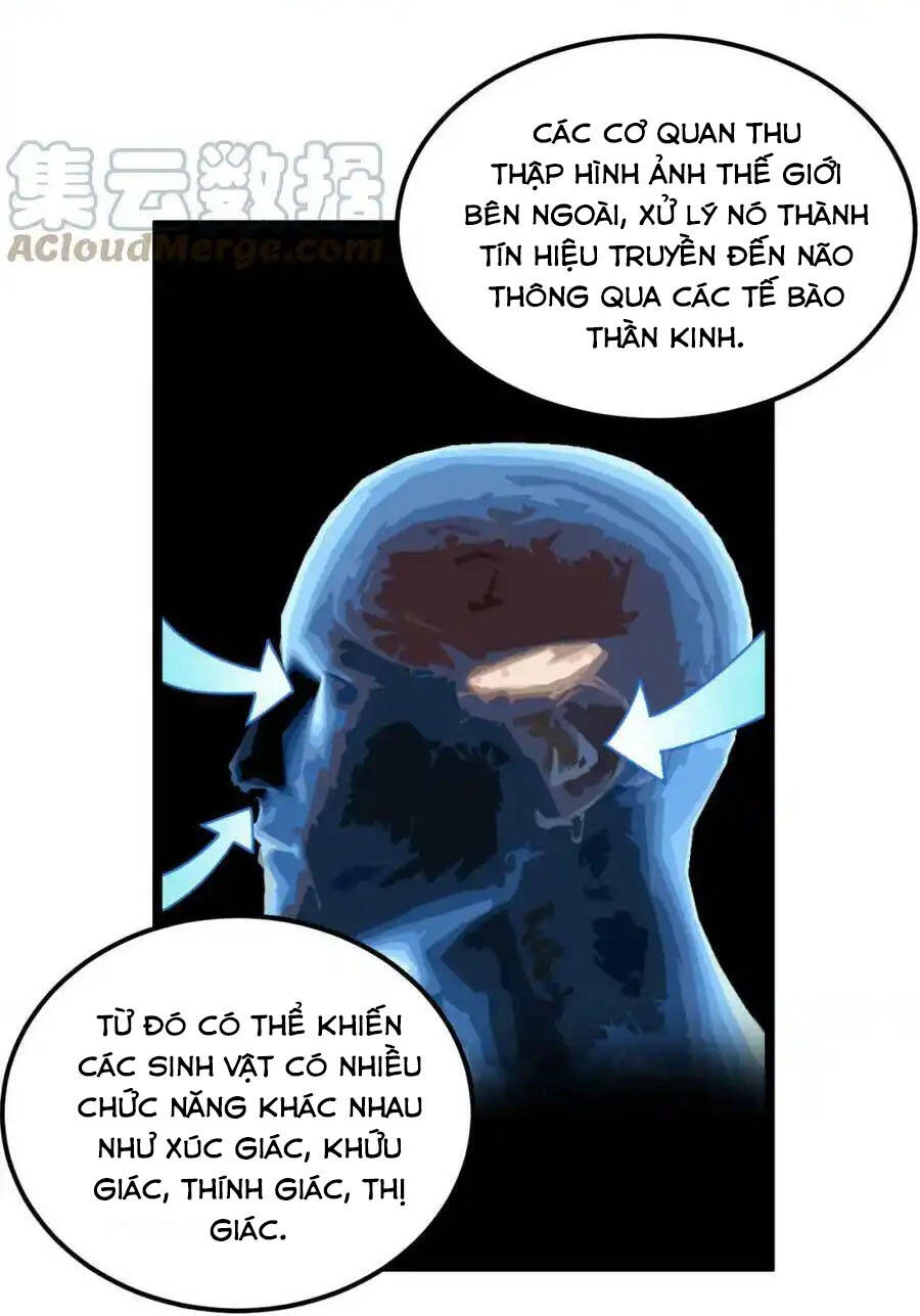 Tinh Thần Đại Hải Của Học Bá: Chapter 191