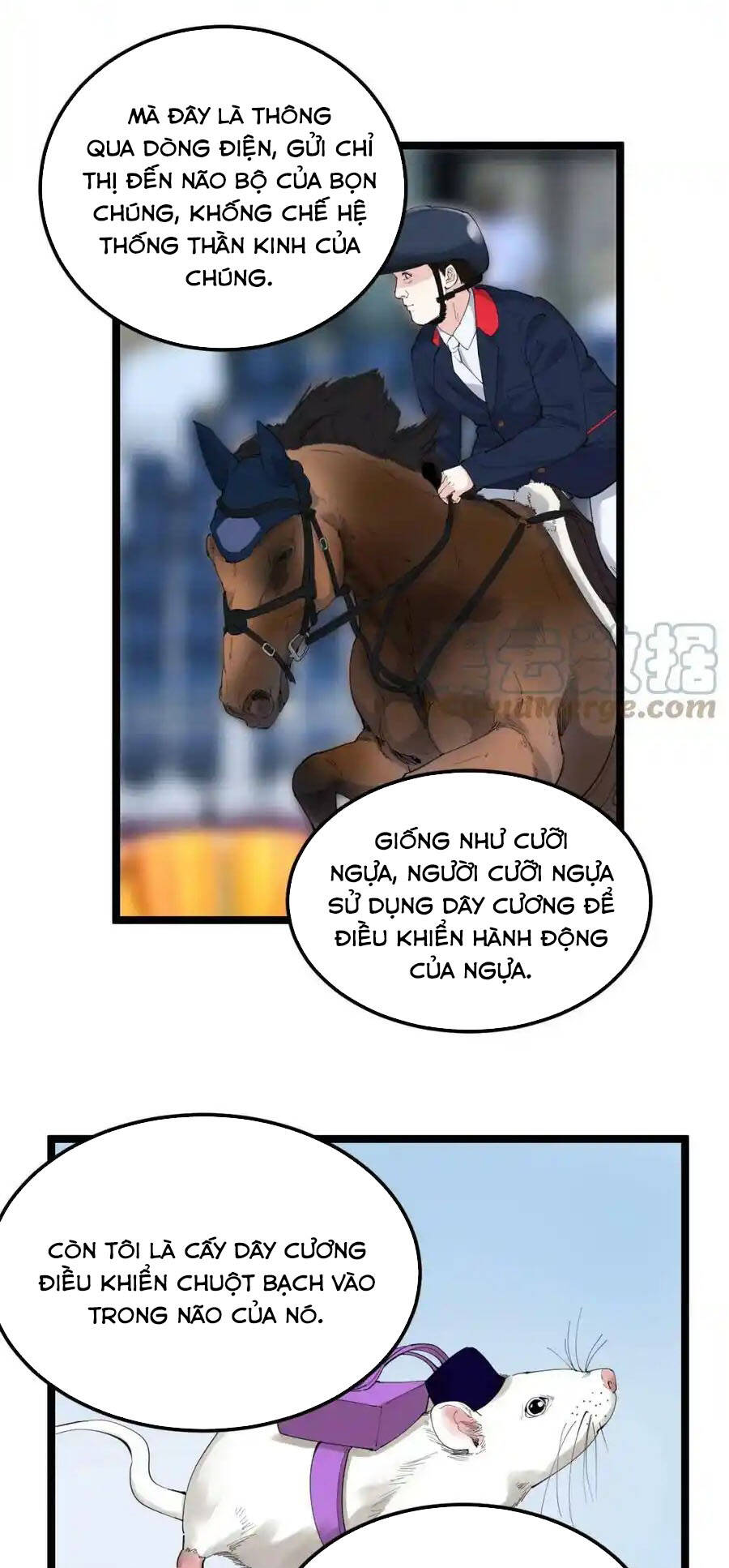 Tinh Thần Đại Hải Của Học Bá: Chapter 191