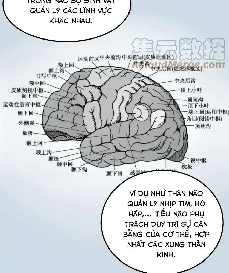 Tinh Thần Đại Hải Của Học Bá: Chapter 192