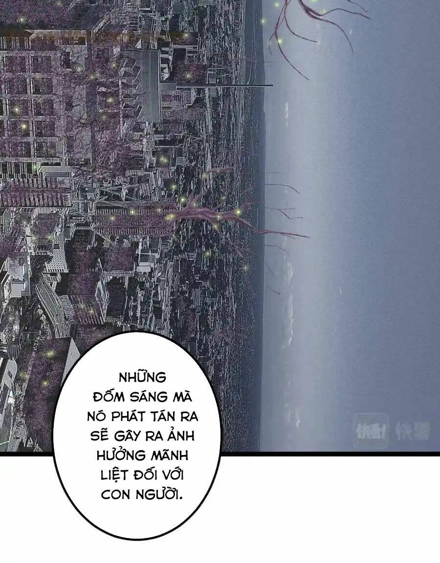Tinh Thần Đại Hải Của Học Bá: Chapter 218