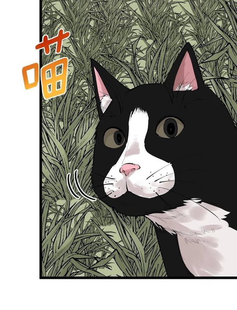 Tinh Thần Đại Hải Của Học Bá: Chapter 82
