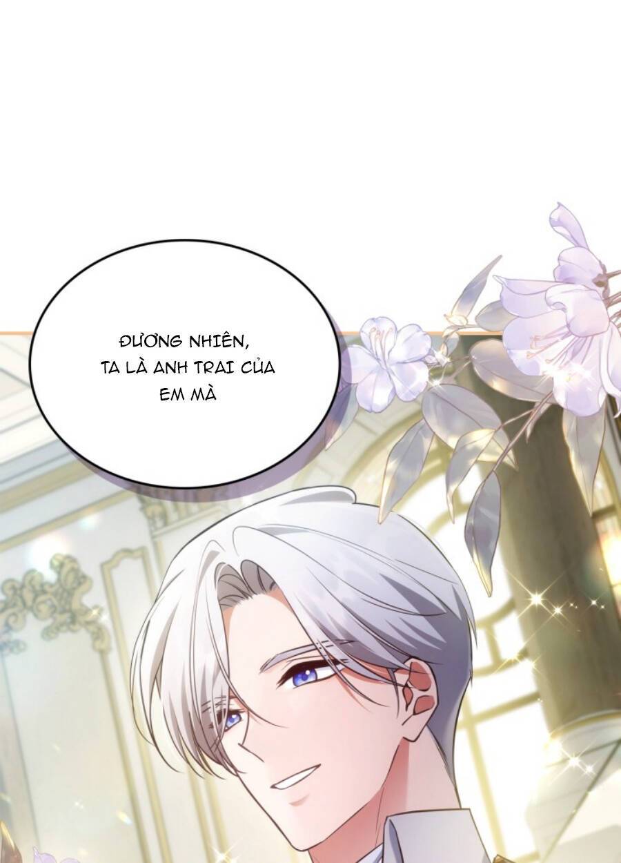 Hôm Nay Công Nương Toàn Năng Cũng Thấy Chán Nản: Chapter 62