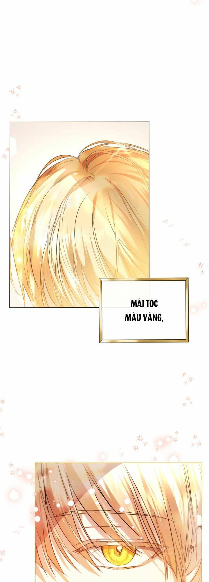 Nữ Chính Ngoại Tình Với Vị Hôn Phu Của Tôi: Chapter 4