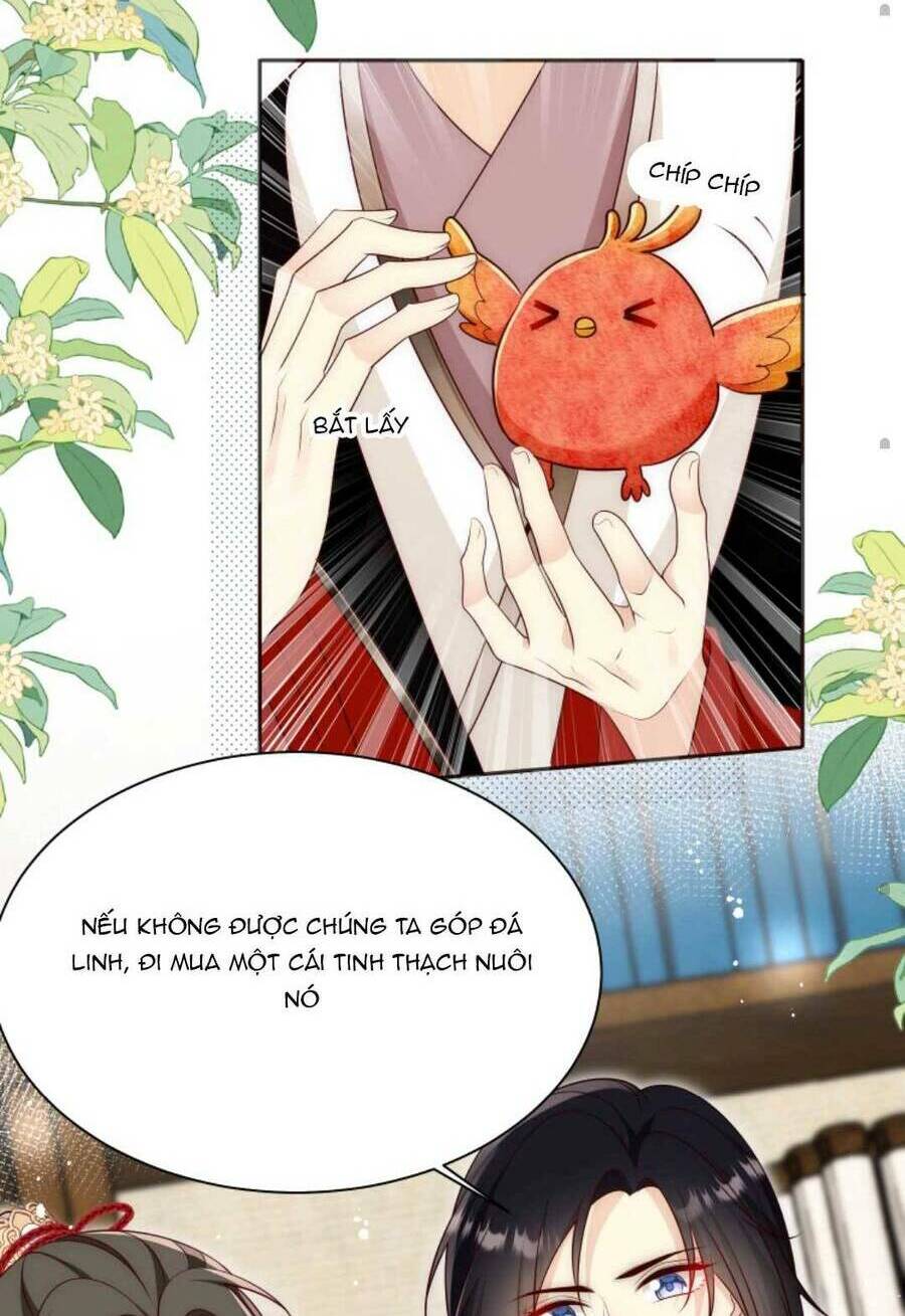 Tiểu Sư Muội Rõ Ràng Rất Mạnh, Nhưng Lại Quá Tấu Hề: Chapter 166