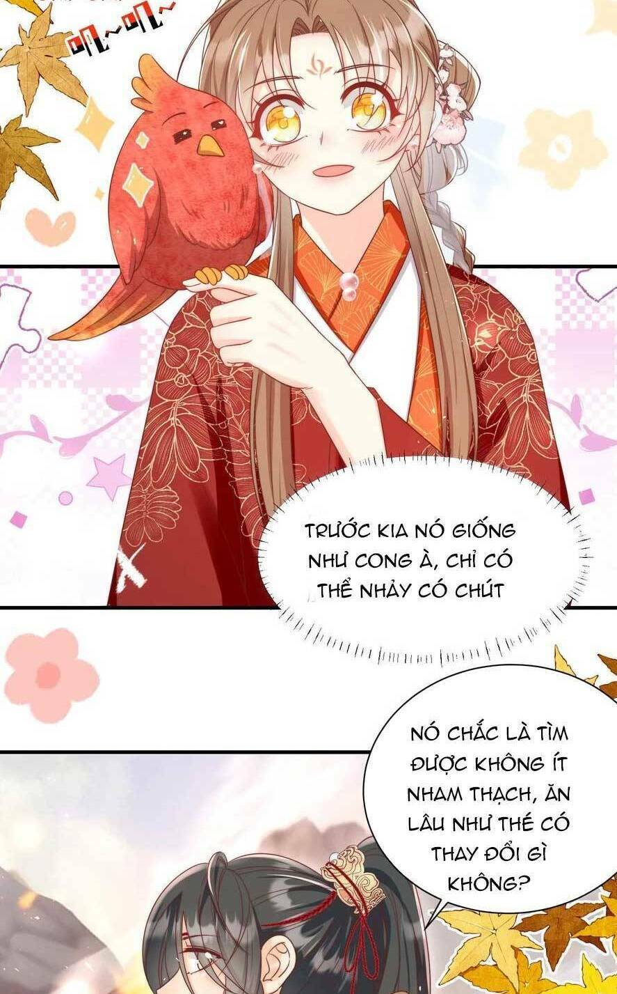 Tiểu Sư Muội Rõ Ràng Rất Mạnh, Nhưng Lại Quá Tấu Hề: Chapter 180