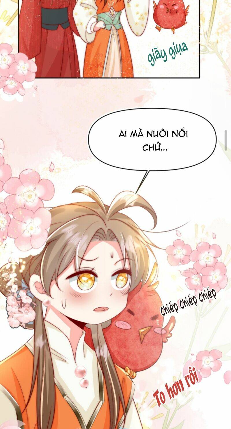 Tiểu Sư Muội Rõ Ràng Rất Mạnh, Nhưng Lại Quá Tấu Hề: Chapter 72