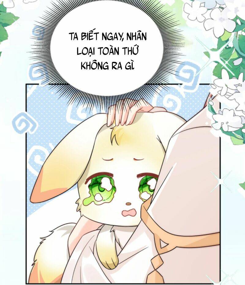 Tiểu Sư Muội Rõ Ràng Rất Mạnh, Nhưng Lại Quá Tấu Hề: Chapter 74