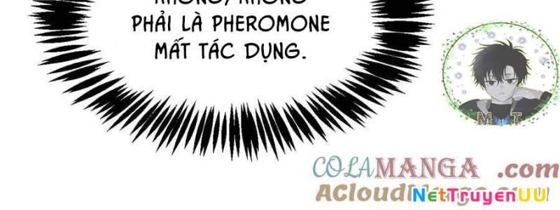 Sau Khi Chết, Ta Trở Thành Võ Đạo Thiên Ma: Chapter 15