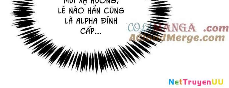 Sau Khi Chết, Ta Trở Thành Võ Đạo Thiên Ma: Chapter 15