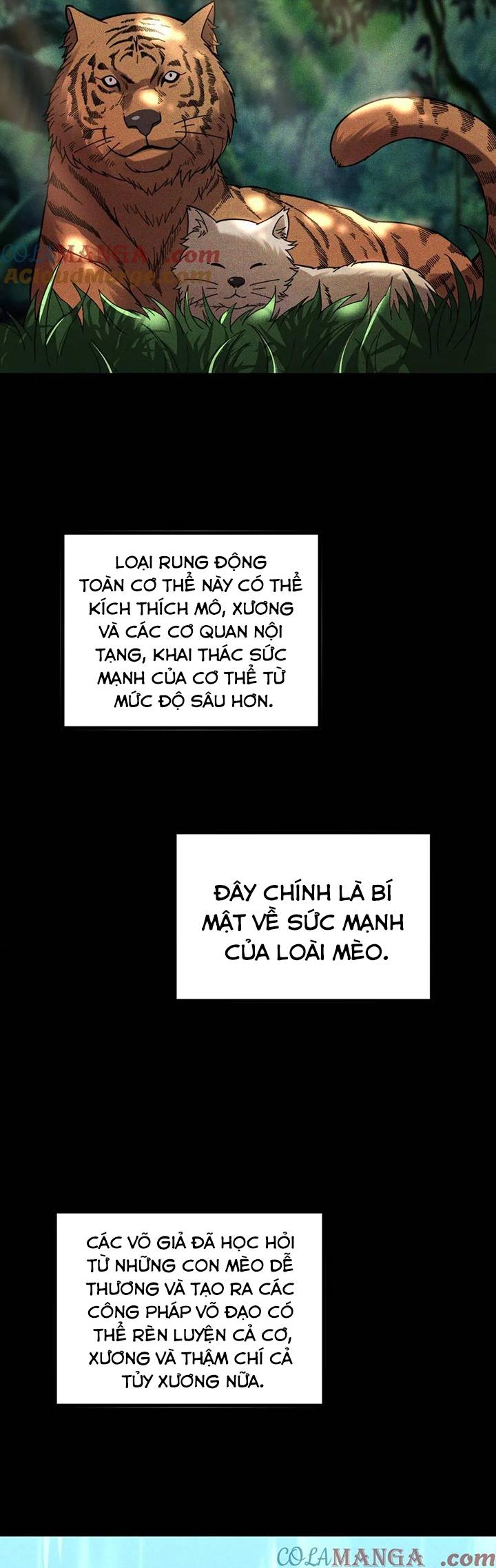 Sau Khi Chết, Ta Trở Thành Võ Đạo Thiên Ma: Chapter 26